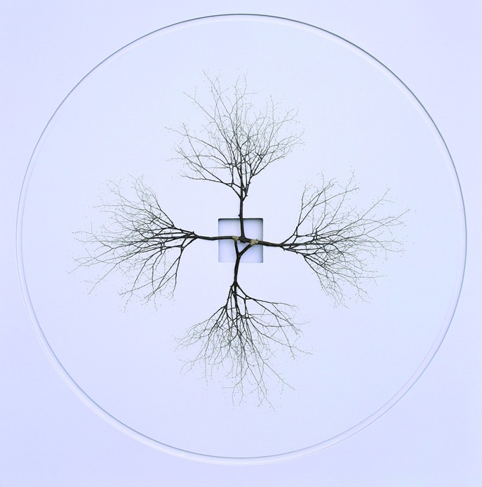 art001_002.jpg