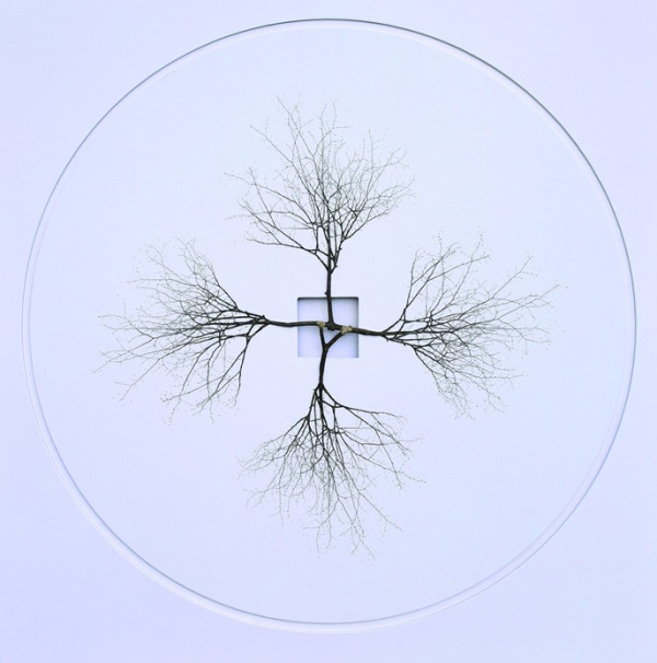 art001_002.jpg