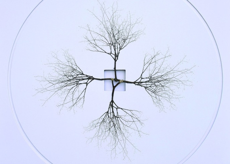 art001_002.jpg