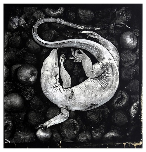 31784893_58ec4d7d_stillborn2csivergelatinhandprint2c90x90x02c5cm2c2018_copy2.jpg